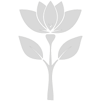 Logo Konet Cuaje Complex