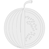 Logo Konet Engorde Plus