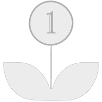 Logo Konet Plata