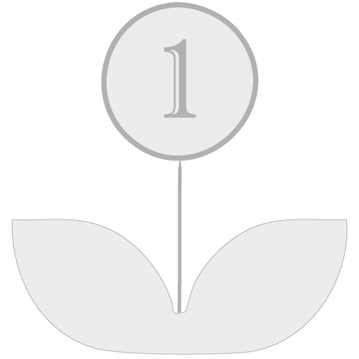 Logo Konet Plata