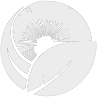 Logo Konet Potasa