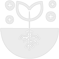 Logo Konet Raixigro