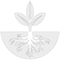 Logo Konet Raíz