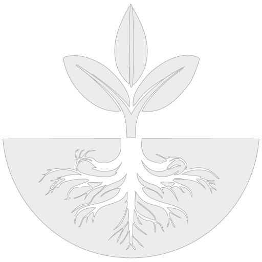Logo Konet Raíz