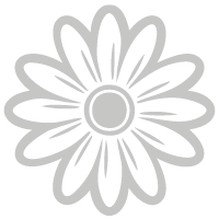 Logo Stim Forte