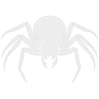 Logo tarántula